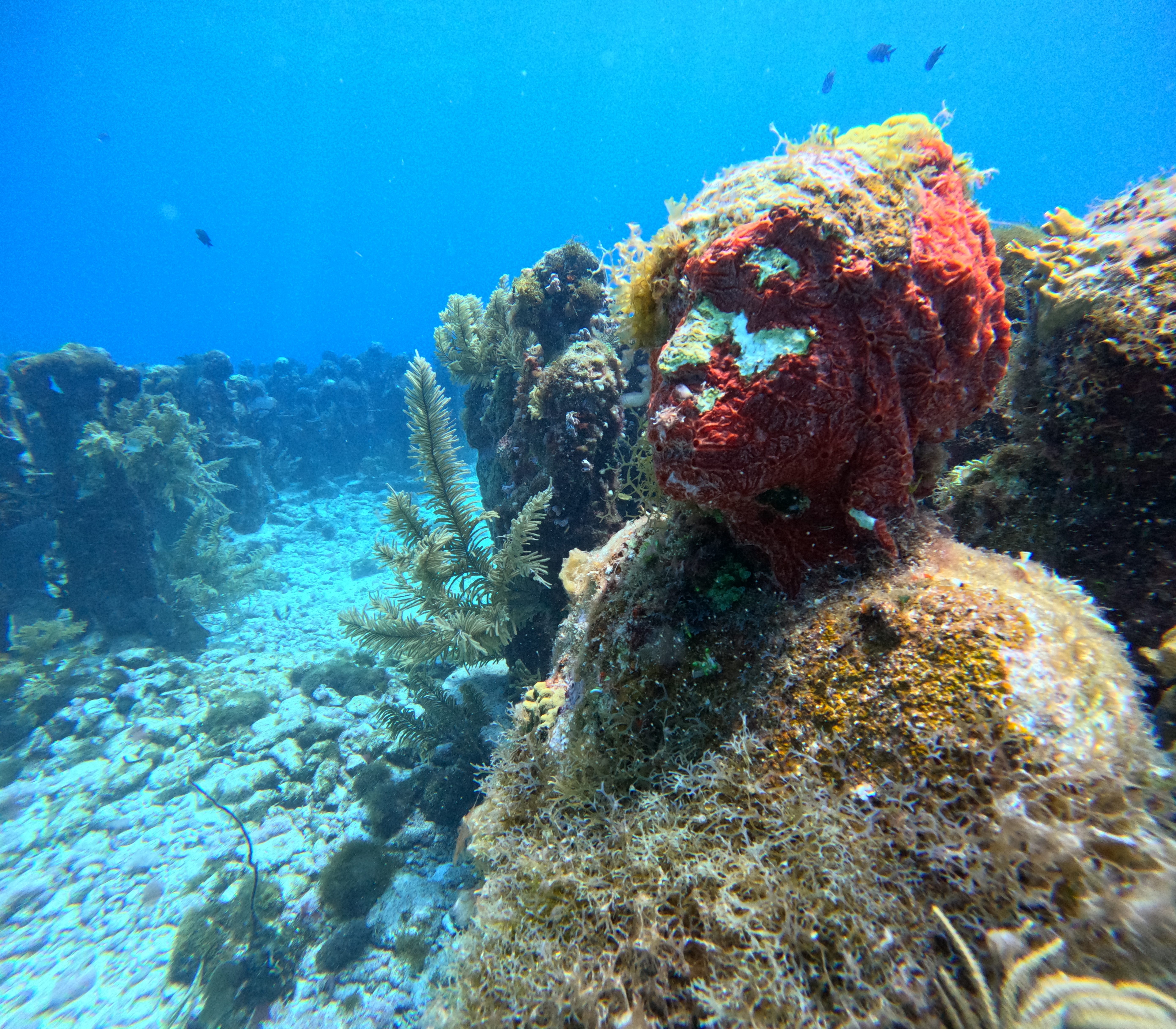 Cancun